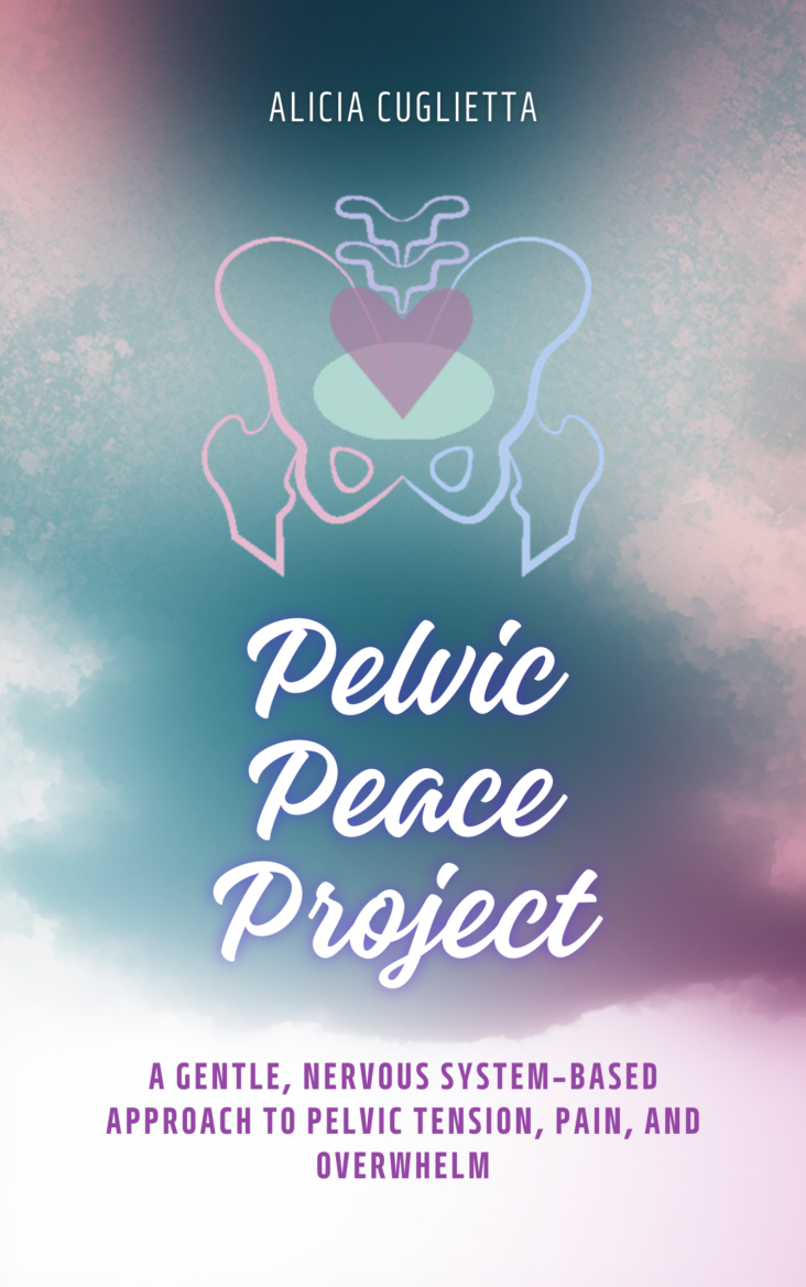 Book cover mockup for Pelvic Peace Project featuring a soft sky background with a subtle pelvic illustration and calming tones.
